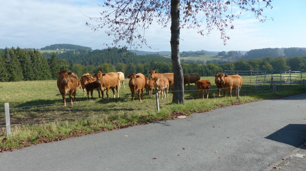 Aussichtsbauernhofpension Hof Gretchens Winterberg Luaran gambar
