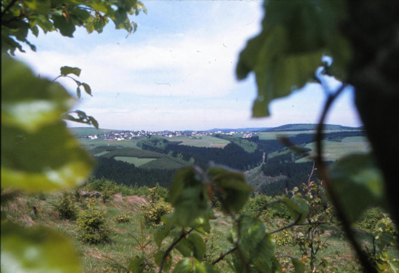 Aussichtsbauernhofpension Hof Gretchens Winterberg Luaran gambar